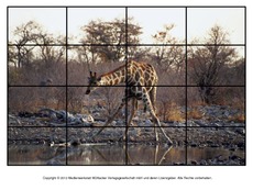 Puzzle-Giraffe-2.pdf